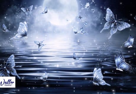 fantasy image of butterflies against the moon to illustrate an article on lucid dreaming